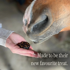 Avella Horse Treats